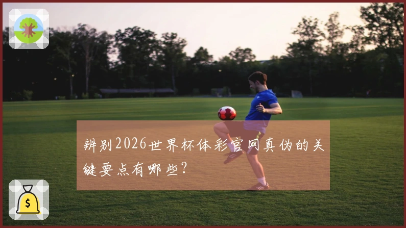 辨别2026世界杯体彩官网真伪的关键要点有哪些?