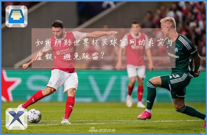 如何辨别世界杯买球官网的真实与虚假，避免踩雷？